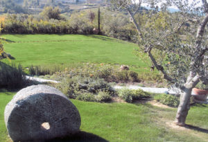 Realizzazione giardini e manutenzione giardini Firenze, Lucca, Siena
