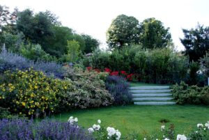 Realizzazione giardini e manutenzione giardini Firenze, Lucca, Siena