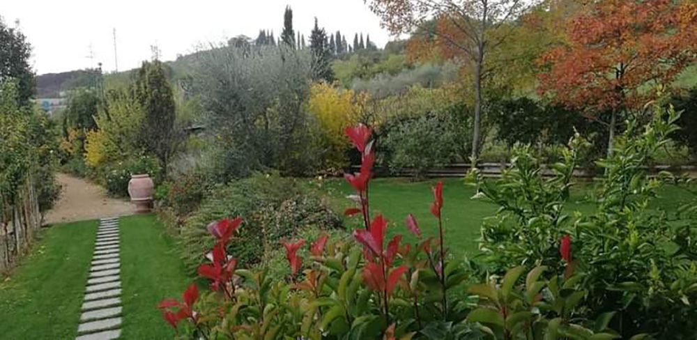 Progettazione giardini e ditte di giardinaggio Firenze, Lucca, Siena - Idea Giardino Progettazione giardini e ditte di giardinaggio Firenze, Lucca, Siena - Idea Giardino